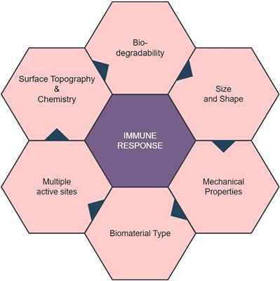 Material matters: exploring the interplay between natural biomaterials and host immune system